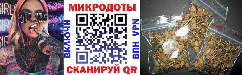 где купить наркоту  Белёв  Псилоцибиновые грибы мухоморы 